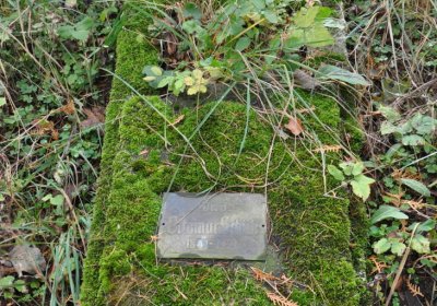 Vejprty, Omnium, 2020