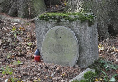 Vejprty, Omnium, 2020