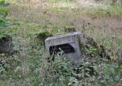 Vejprty, Omnium, 2020