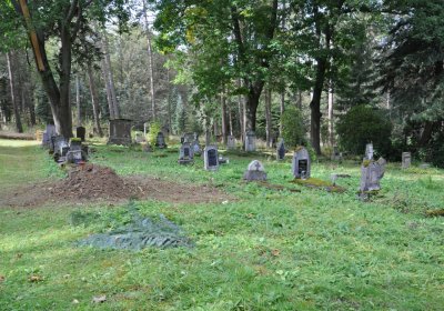 Vejprty, Omnium, 2020