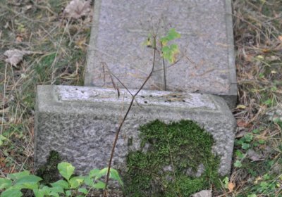 Vejprty, Omnium, 2020