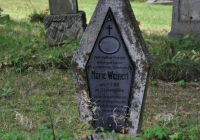 Vejprty, Omnium, 2020