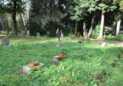 Vejprty, Omnium, 2020