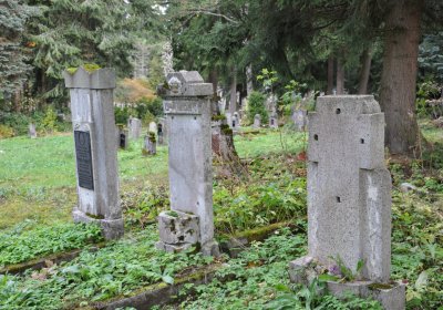 Vejprty, Omnium, 2020