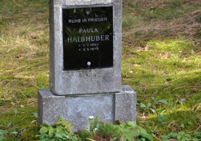 Vejprty, Omnium, 2020