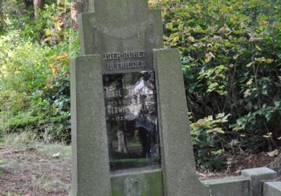 Vejprty, Omnium, 2020