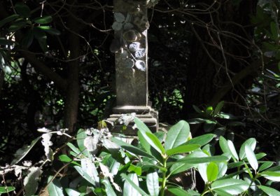 Vejprty, Omnium, 2020