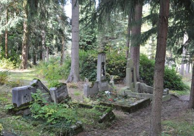 Vejprty, Omnium, 2020