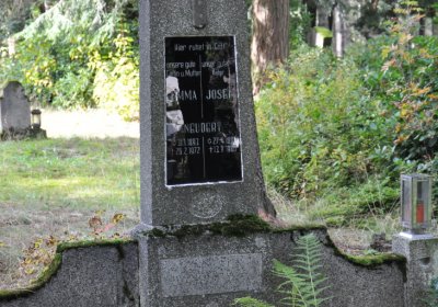 Vejprty, Omnium, 2020