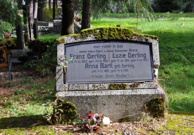 Vejprty, Omnium, 2020