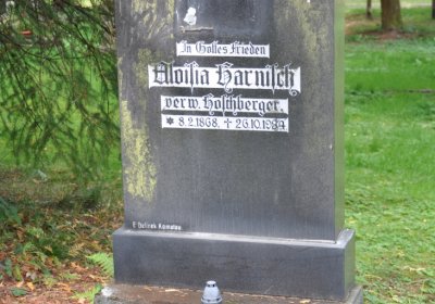 Vejprty, Omnium, 2020