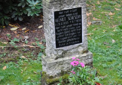 Vejprty, Omnium, 2020