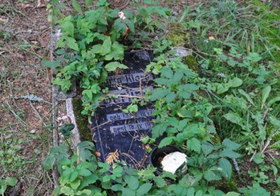 Vejprty, Omnium, 2020