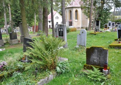 Vejprty, Omnium, 2020