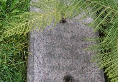 Vejprty, Omnium, 2020