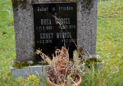 Vejprty, Omnium, 2020