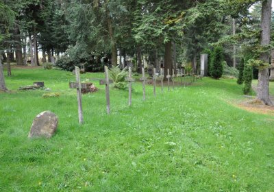 Vejprty, Omnium, 2020