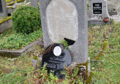 Vejprty, Omnium, 2020