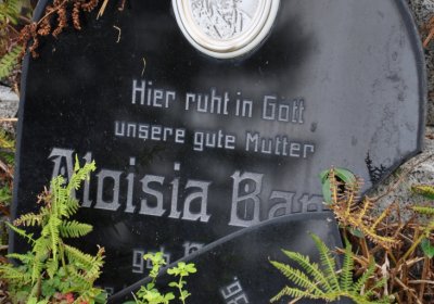 Vejprty, Omnium, 2020