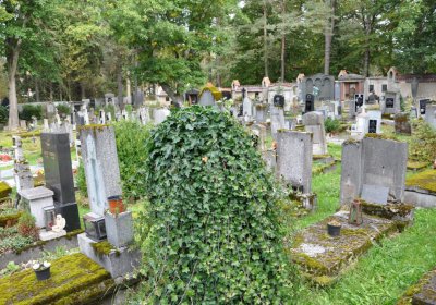 Vejprty, Omnium, 2020