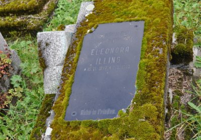 Vejprty, Omnium, 2020