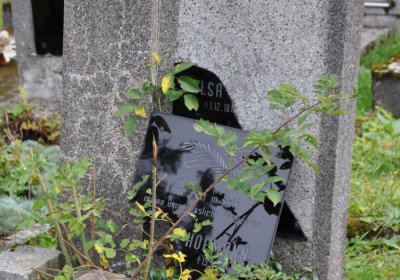 Vejprty, Omnium, 2020