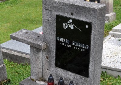 Vejprty, Omnium, 2020