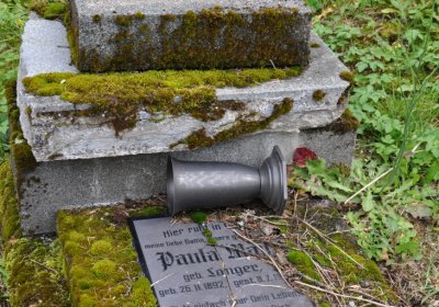 Vejprty, Omnium, 2020