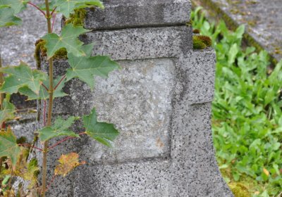 Vejprty, Omnium, 2020