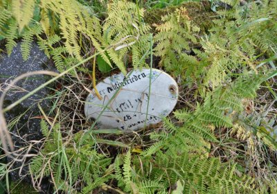 Vejprty, Omnium, 2020