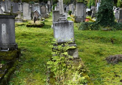 Vejprty, Omnium, 2020