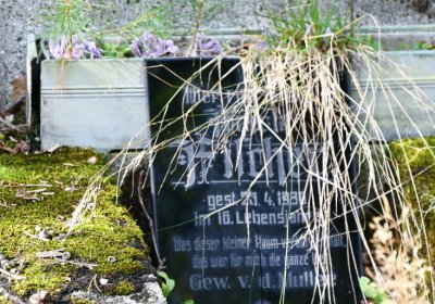 Vejprty, Omnium, 2020