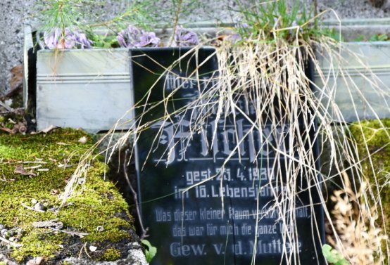 Vejprty, Omnium, 2020