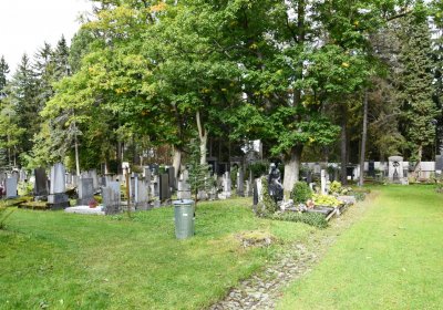 Vejprty, Omnium, 2020