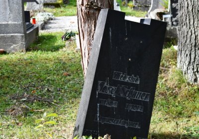 Vejprty, Omnium, 2020