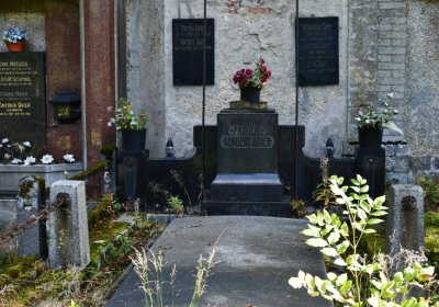 Vejprty, Omnium, 2020