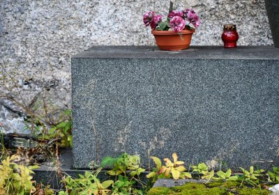 Vejprty, Omnium, 2020