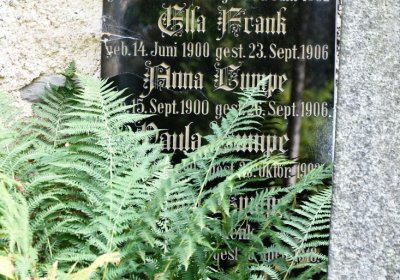 Vejprty, Omnium, 2020