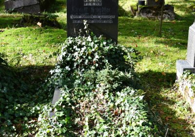 Vejprty, Omnium, 2020