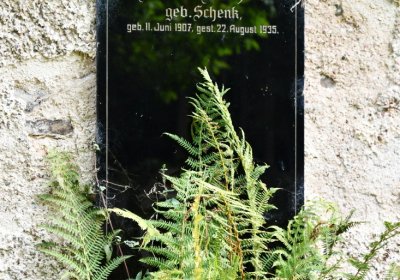 Vejprty, Omnium, 2020