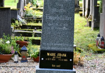 Vejprty, Omnium, 2020