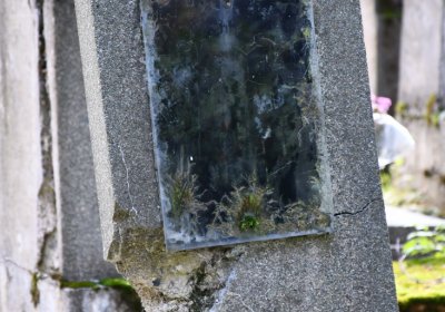 Vejprty, Omnium, 2020