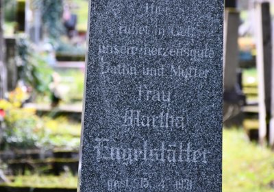 Vejprty, Omnium, 2020