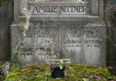 Vejprty, Omnium, 2020