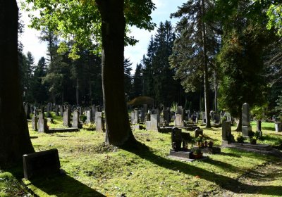 Vejprty, Omnium, 2020