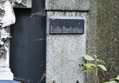 Vejprty, Omnium, 2020