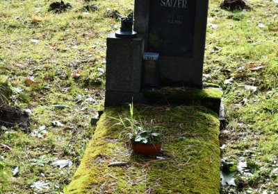 Vejprty, Omnium, 2020