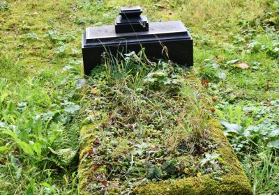 Vejprty, Omnium, 2020