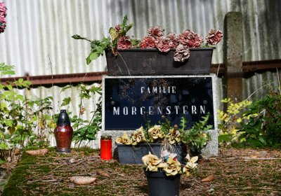 Vejprty, Omnium, 2020