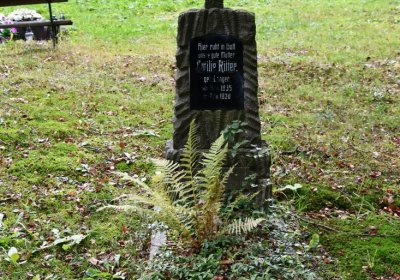 Vejprty, Omnium, 2020